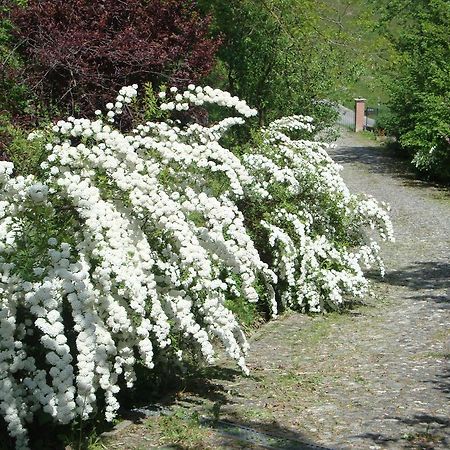 Cascina Nel Bosco Bed & Breakfast Moncucco Torinese ภายนอก รูปภาพ