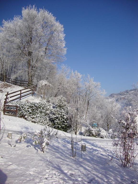 Cascina Nel Bosco Bed & Breakfast Moncucco Torinese ภายนอก รูปภาพ