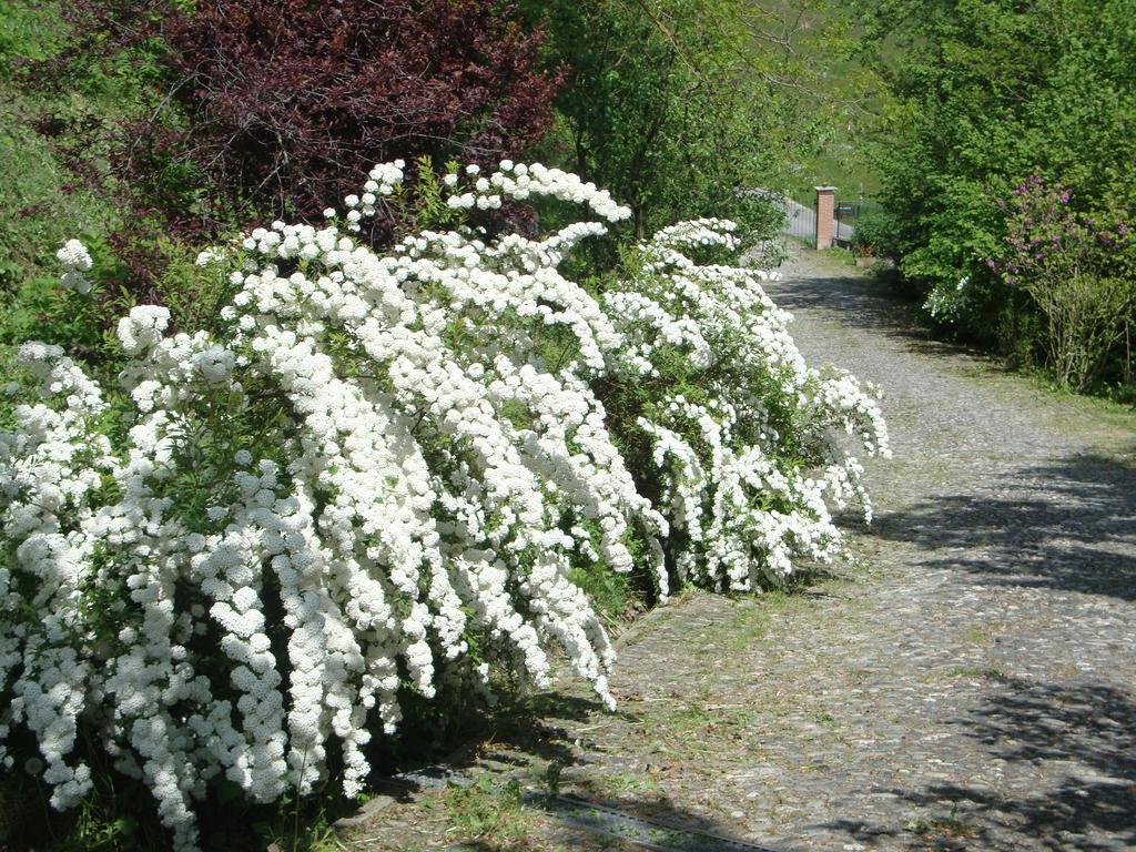 Cascina Nel Bosco Bed & Breakfast Moncucco Torinese ภายนอก รูปภาพ