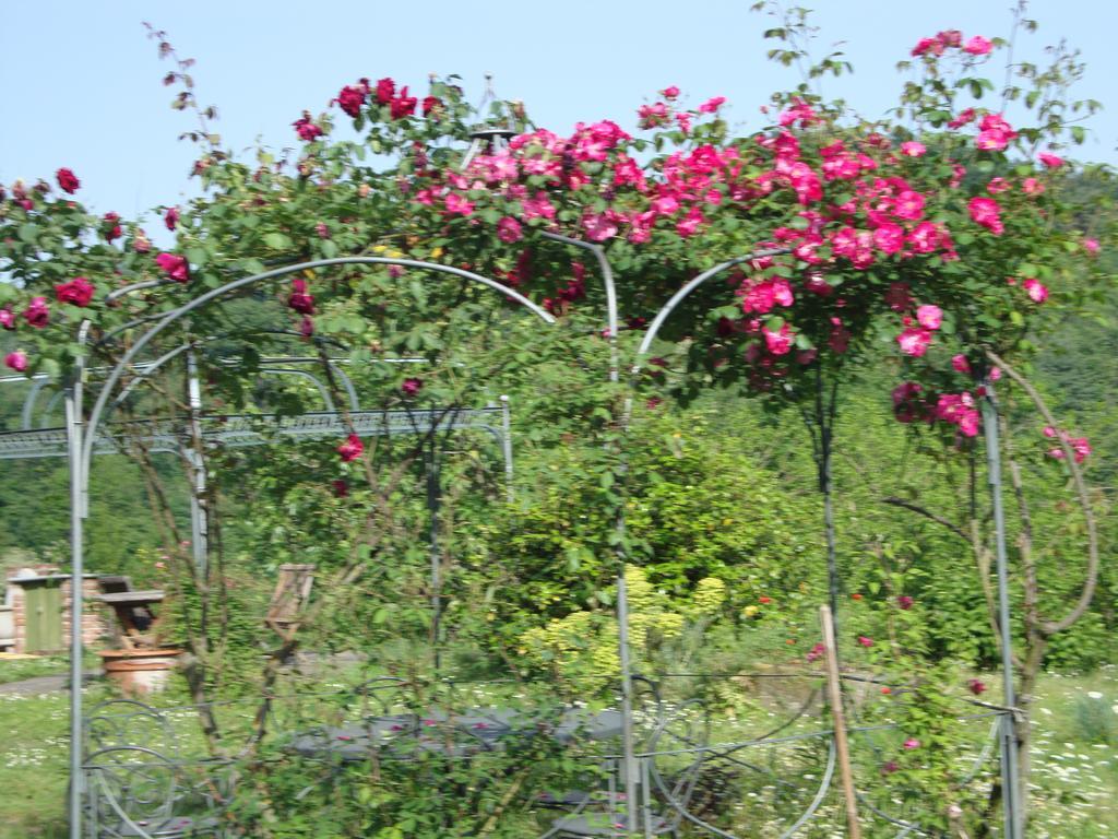 Cascina Nel Bosco Bed & Breakfast Moncucco Torinese ภายนอก รูปภาพ